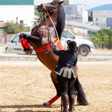 365995717_686788486811237_2066132581868416987_n