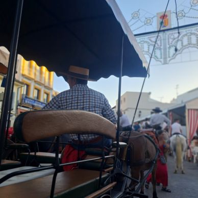 366061989_686786710144748_8435450325660107541_n