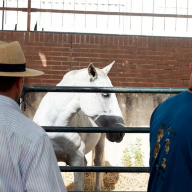 366940420_686787123478040_6326945529351429936_n