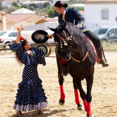 366943928_686788403477912_7751557132271032246_n