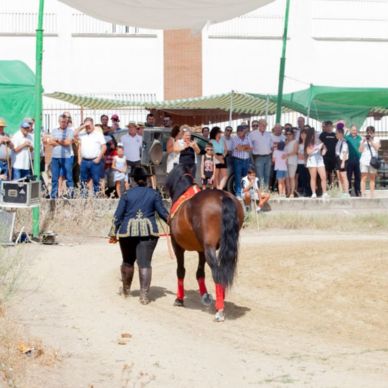 366945401_686788336811252_3401936762394021033_n (1)