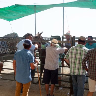 366953305_686787140144705_4204227018726944611_n