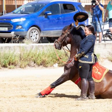 366979282_686788436811242_6517501626285552359_n