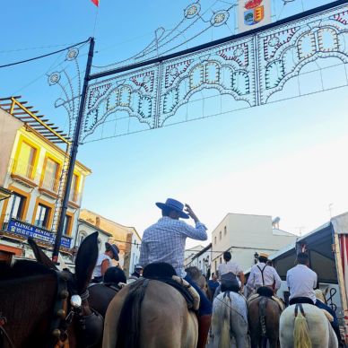 367089112_686786690144750_3650507950853676365_n