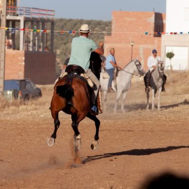 367486163_686787000144719_1674940654791731162_n