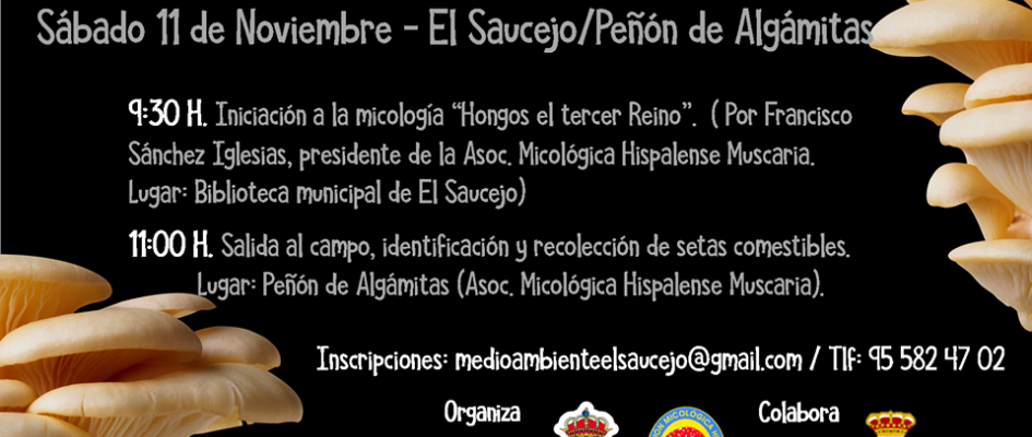 22815144_536722519995861_666918235918813779_n