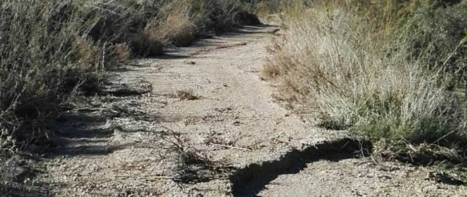 24232862_552448585089921_4949645908980719834_n