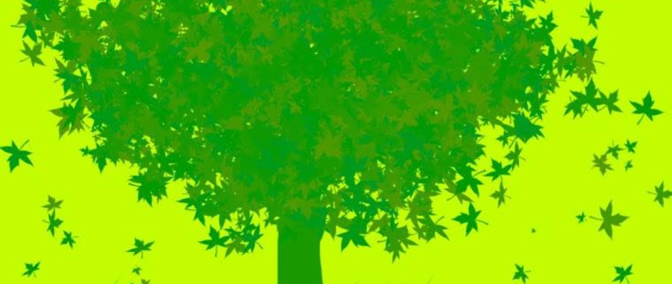 27332666_581425392192240_1267371340357125876_n