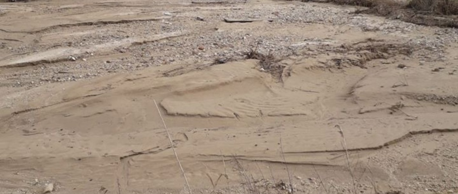 30688376_614496802218432_2546559465946892984_n