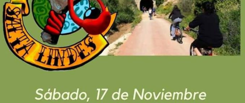 45510983_764130757255035_2701376047969992704_n