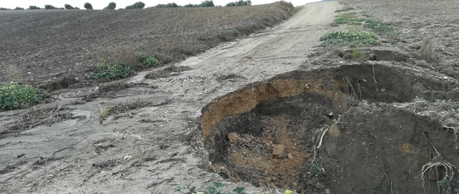 46788309_773730572961720_7712068020004192256_n