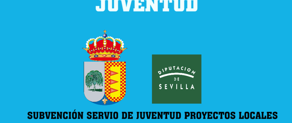 CARTEL  SUBVENCIÓN JUVENTUD 2024