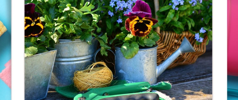 CURSO VIVERO Y LIMPIEZA