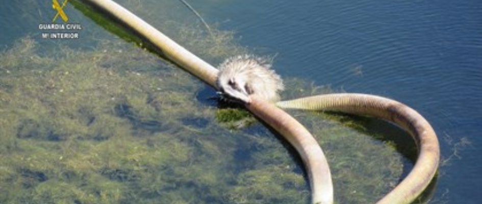 fotonoticia_20180808115931_420